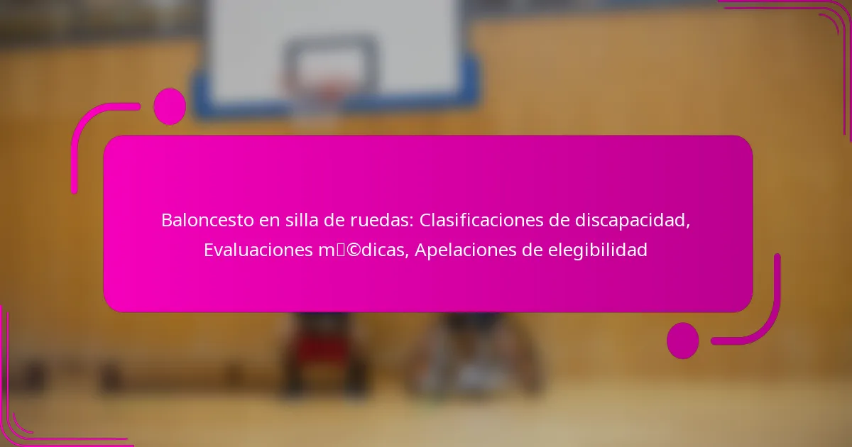 Baloncesto en silla de ruedas: Clasificaciones de discapacidad, Evaluaciones médicas, Apelaciones de elegibilidad