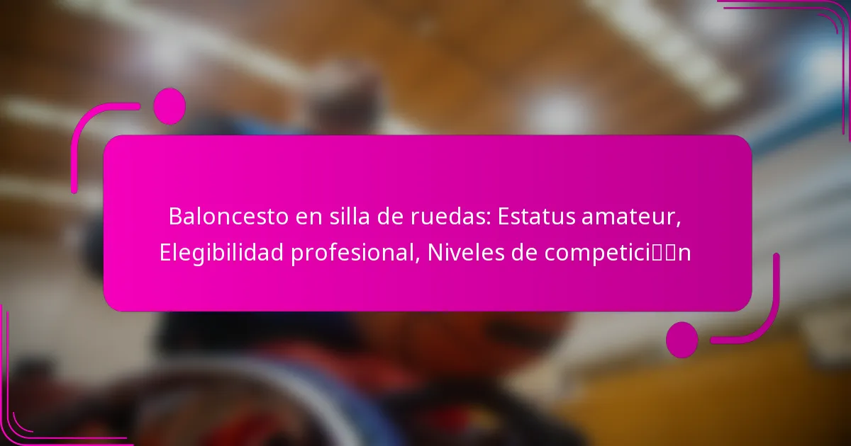 Baloncesto en silla de ruedas: Estatus amateur, Elegibilidad profesional, Niveles de competición